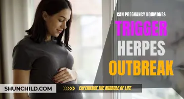 Understanding the Link: How Pregnancy Hormones Can Trigger Herpes Outbreaks