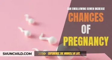Examining the Link: Can Swallowing Semen Affect Your Chances of Pregnancy?