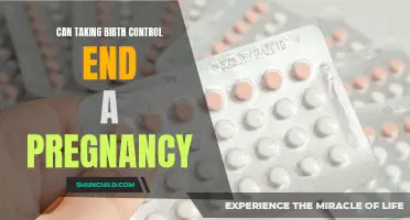 Exploring the Controversy: Can Taking Birth Control Lead to the End of a Pregnancy?