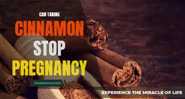 Can Taking Cinnamon Prevent Pregnancy?