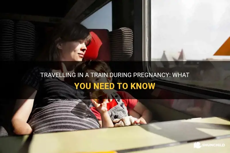 can travel in train during pregnancy