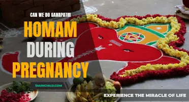 Performing Ganapathi Homam During Pregnancy: What You Need to Know