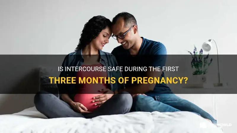 can we do intercourse during first three months of pregnancy