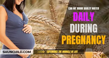 Is it Safe to Drink Barley Water Daily During Pregnancy?