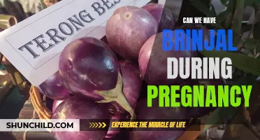 Brinjal Consumption During Pregnancy: Is it Safe for Expecting Mothers?