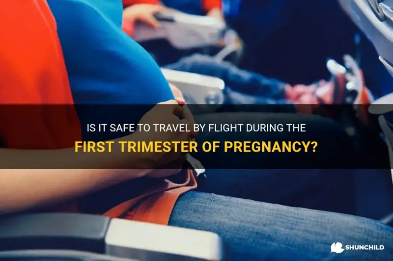 can we travel flight during first trimester pregnancy