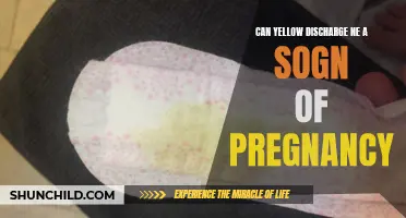 Understanding Yellow Discharge in Early Pregnancy: What You Need to Know