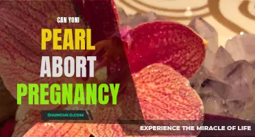 Exploring the Controversial Topic: Can Yoni Pearls Abort Pregnancy?