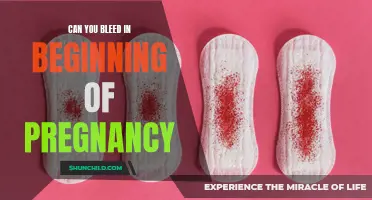 Understanding and Managing Early Pregnancy Bleeding: What You Need to Know