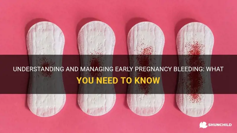 can you bleed in beginning of pregnancy