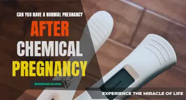 What You Should Know About Achieving a Healthy Pregnancy After Experiencing a Chemical Pregnancy