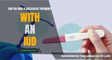 Can You Have a Successful Pregnancy with an IUD?