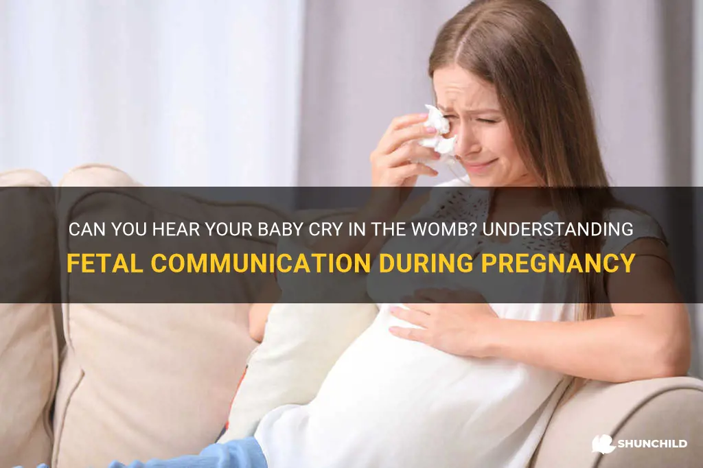 can you hear your baby cry during pregnancy