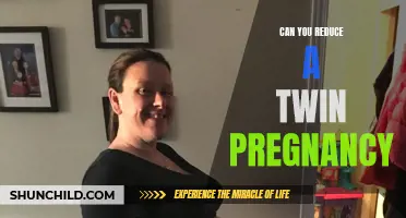 How to Reduce the Risks of a Twin Pregnancy