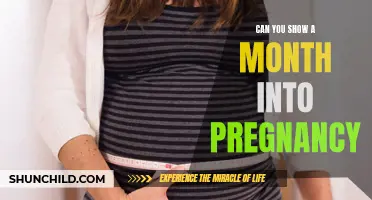 Understanding the First Trimester: What Does a Month into Pregnancy Look Like?