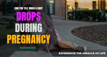 Signs and Symptoms: Can You Tell When a Baby Drops During Pregnancy?