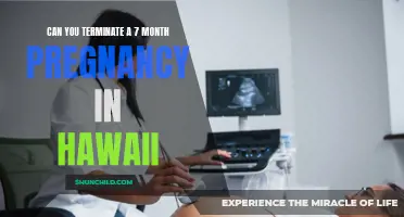 Is it Possible to Terminate a 7 Month Pregnancy in Hawaii?