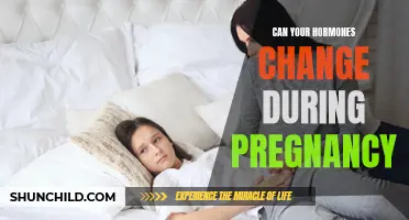 Understanding How Pregnancy Can Impact Your Hormones