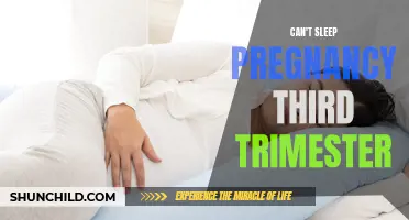 Tips for Dealing with Insomnia During the Third Trimester of Pregnancy