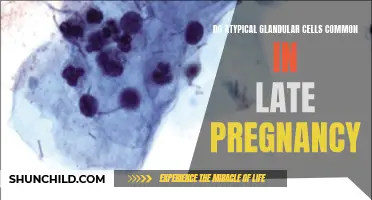 Understanding the Prevalence of Atypical Glandular Cells During Late Pregnancy