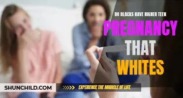 Comparing Teen Pregnancy Rates: Are Blacks More Susceptible Than Whites?
