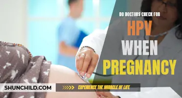 Exploring the Link: Do Doctors Check for HPV During Pregnancy?