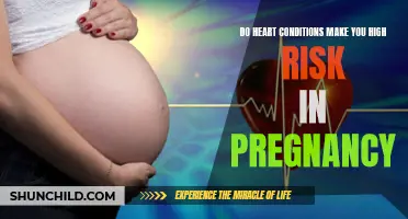 Are Heart Conditions a High Risk Factor in Pregnancy?