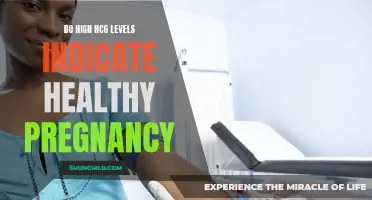 Understanding the Significance of High hCG Levels in Pregnancy