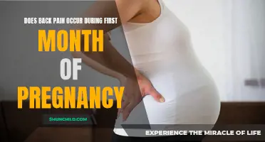 The Truth About Back Pain During the First Month of Pregnancy