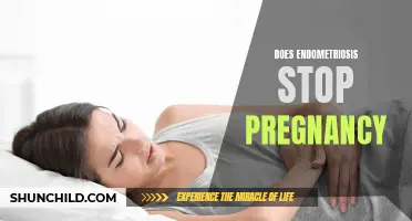 Understanding the Link between Endometriosis and Pregnancy: A Comprehensive Analysis