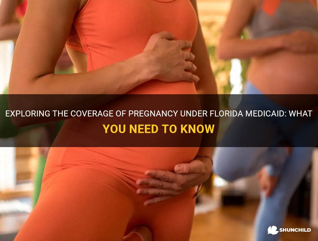 does florida medicaid cover pregnancy