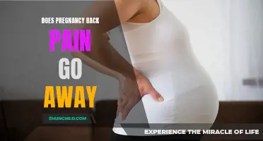 How to Ease Pregnancy Back Pain and Find Relief