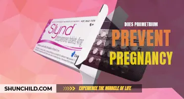 Can Prometrium Prevent Pregnancy?