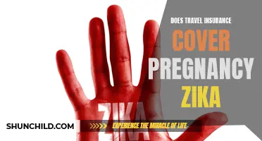 Does Travel Insurance Cover Pregnancy and Zika?