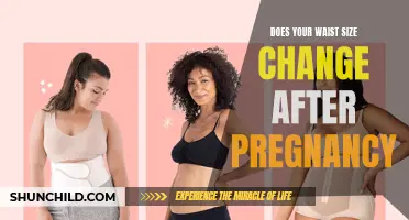 Post-Pregnancy Body Changes: Exploring Waist Size Transformation and Its Implications
