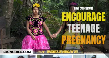 The Role of Cultural Factors in Influencing Teenage Pregnancy: Exploring the Link Between Culture and Adolescent Parenthood