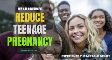 Effective Strategies for Reducing Teenage Pregnancy: A Guide for Governments