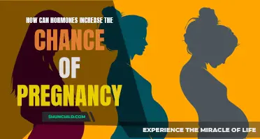 The Role of Hormones in Enhancing Fertility to Increase the Chance of Pregnancy