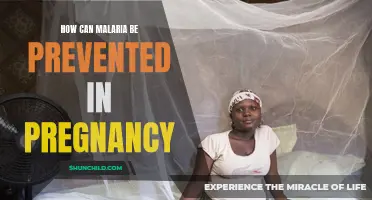 Preventing Malaria During Pregnancy: Strategies for a Healthy Mother and Baby