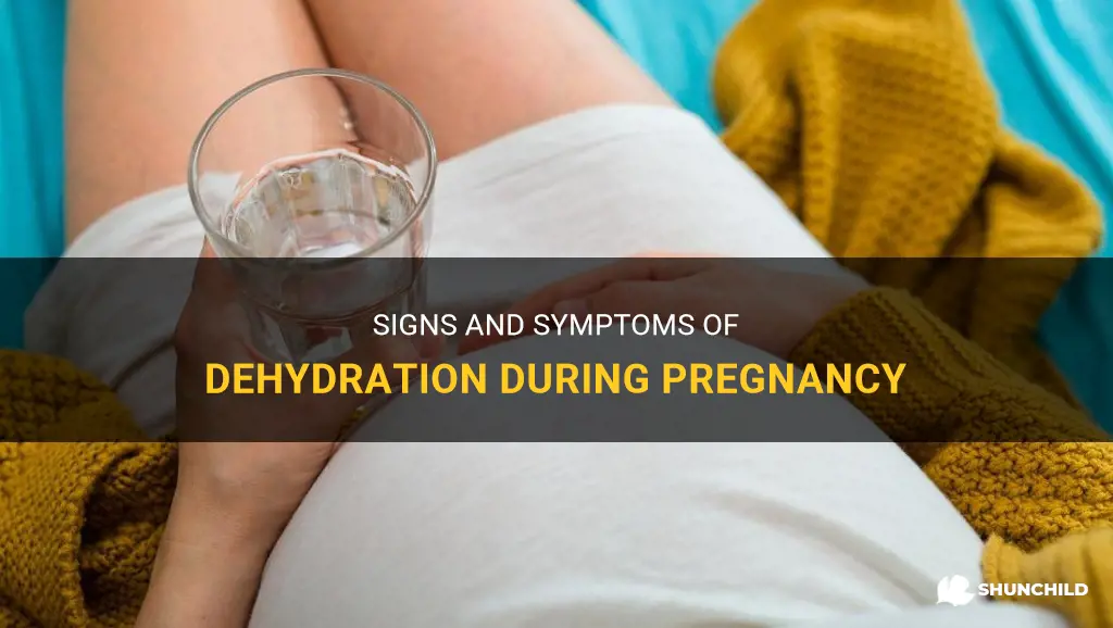 how can you tell if you are dehydrated during pregnancy