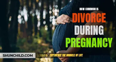 The Prevalence of Divorce During Pregnancy and its Impact on Families