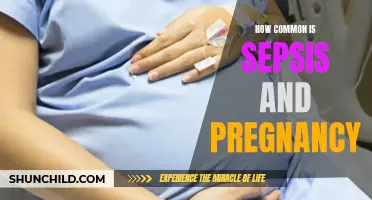 Understanding the Prevalence of Sepsis in Pregnancy: A Comprehensive Analysis