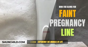 Determining the Progress of a Faint Pregnancy Line: How Far Along Are You?
