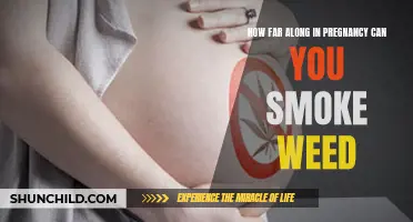 The Impact of Smoking Weed During Pregnancy on the Developing Fetus