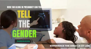 The Timing of Gender Reveal: How Far Along in Pregnancy Can You Tell the Gender