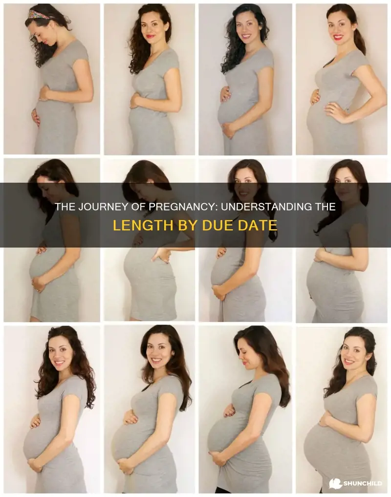 how far long pregnancy by due date