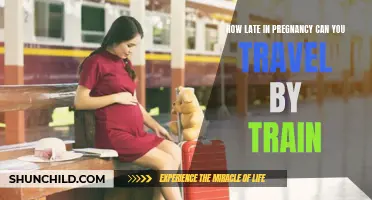 Traveling by Train During Late Pregnancy: What You Need to Know