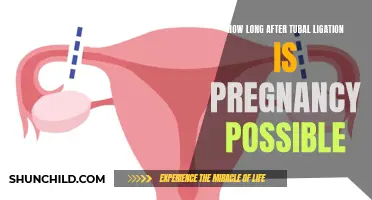 Understanding the Timeframe for Possible Pregnancy After Tubal Ligation