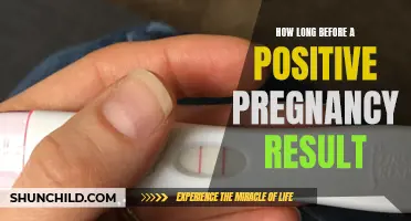 Factors That Influence How Long Before a Positive Pregnancy Result