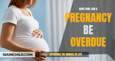 The Extent of Overdue Pregnancies: Understanding the Length of Gestation Beyond the Due Date